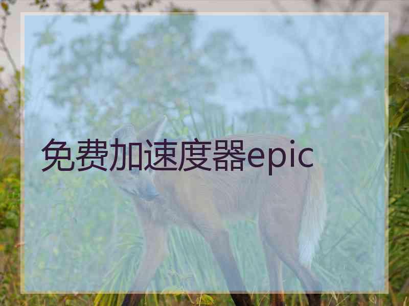 免费加速度器epic