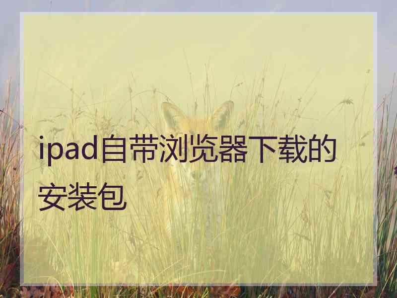 ipad自带浏览器下载的安装包