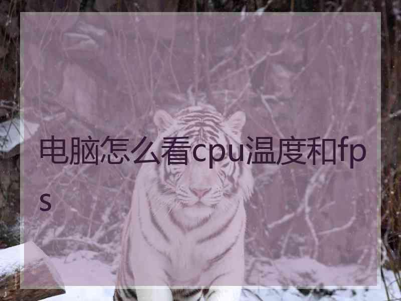 电脑怎么看cpu温度和fps