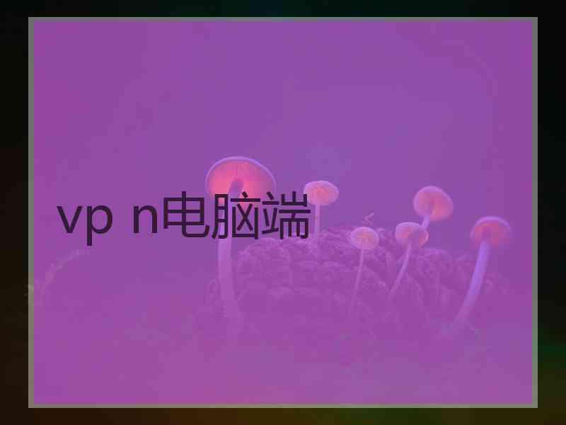 vp n电脑端