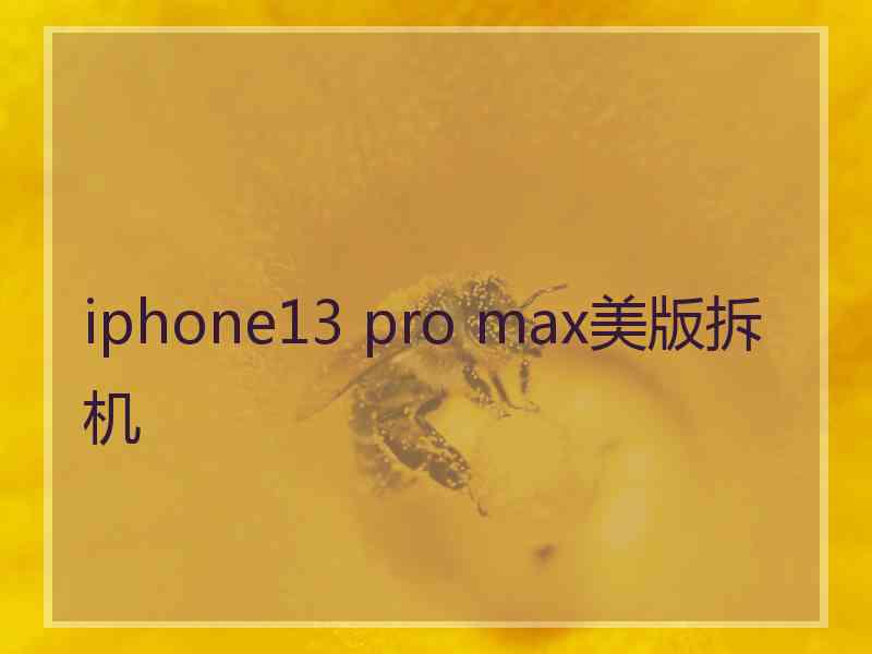 iphone13 pro max美版拆机