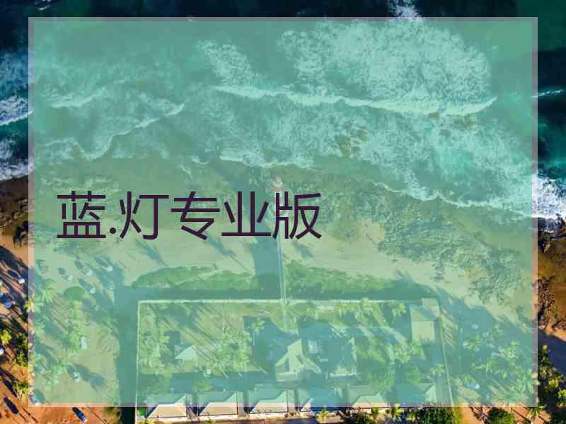 蓝.灯专业版