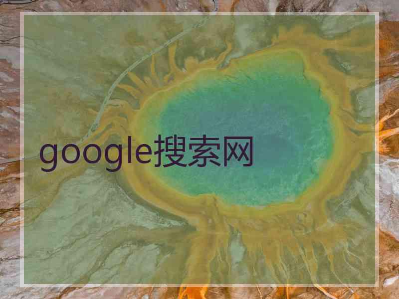 google搜索网