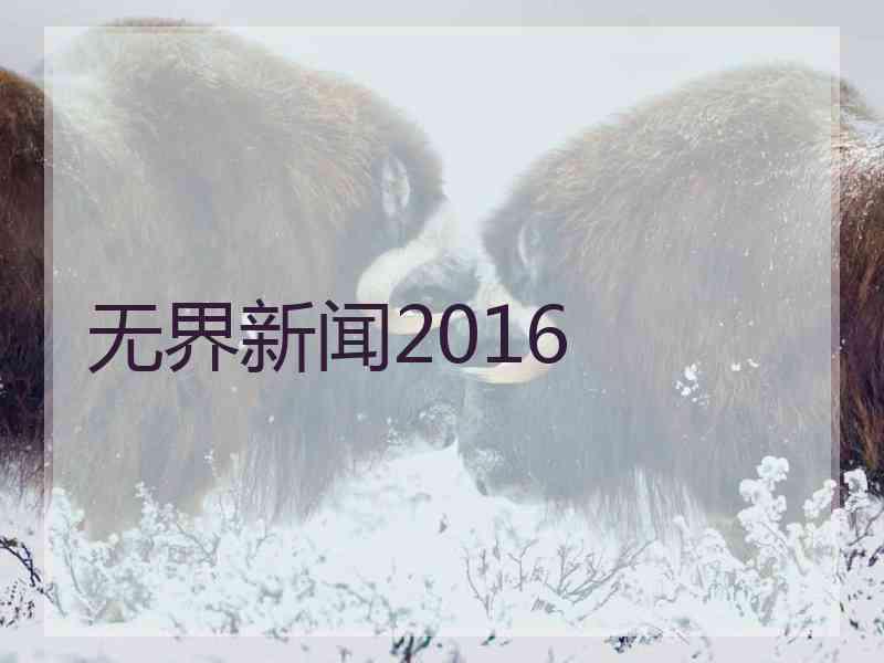 无界新闻2016