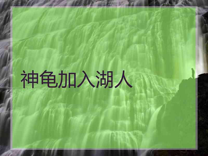 神龟加入湖人