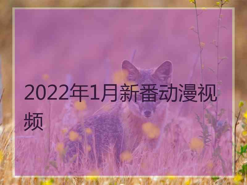 2022年1月新番动漫视频