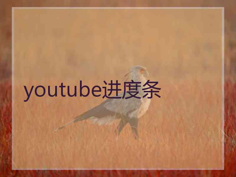 youtube进度条