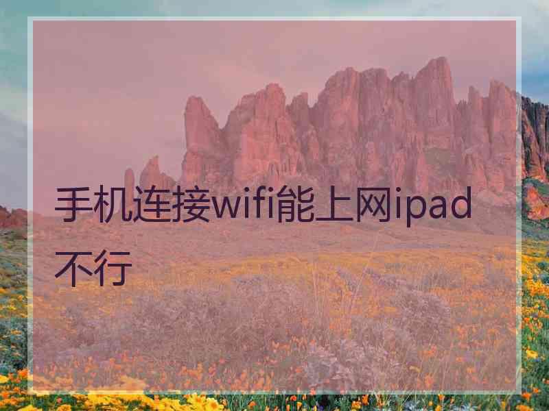 手机连接wifi能上网ipad不行