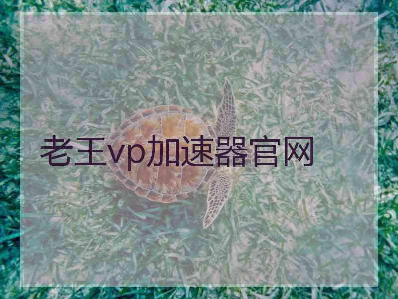 老王vp加速器官网