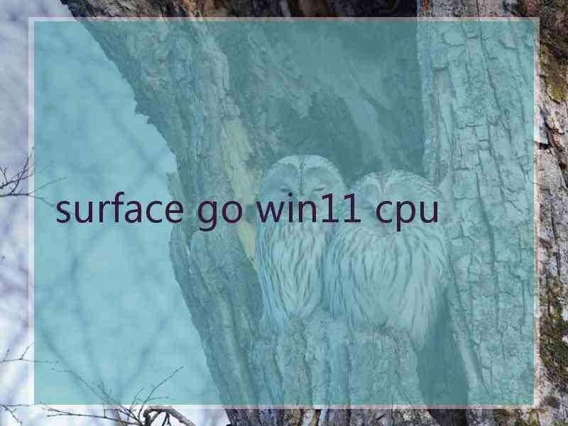 surface go win11 cpu