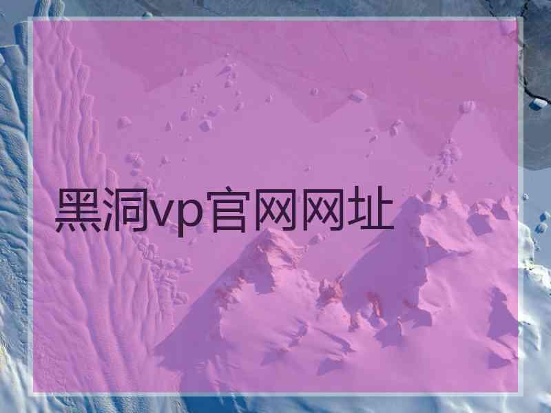 黑洞vp官网网址