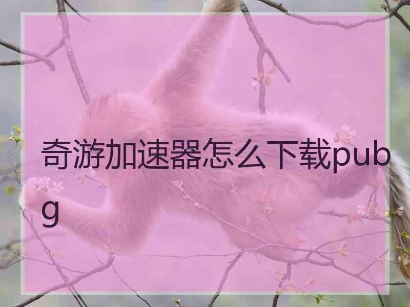 奇游加速器怎么下载pubg