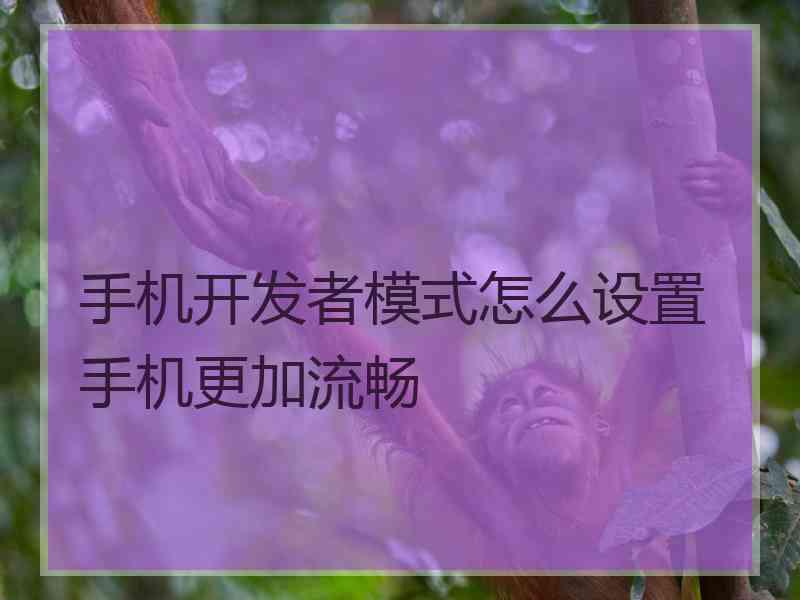 手机开发者模式怎么设置手机更加流畅