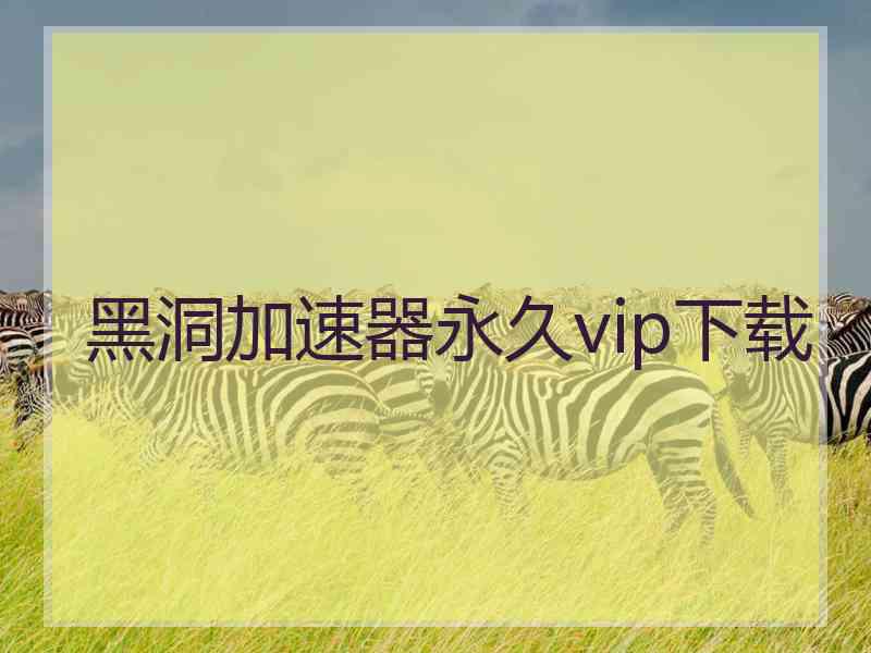 黑洞加速器永久vip下载