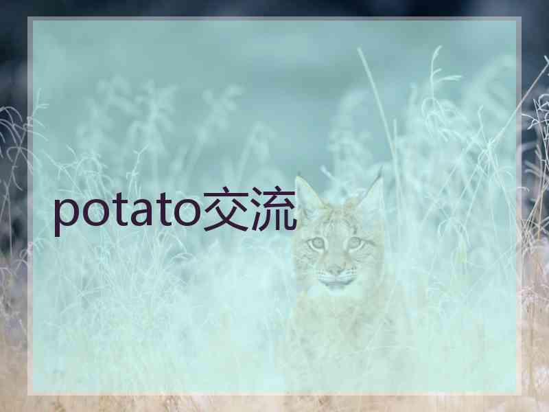 potato交流