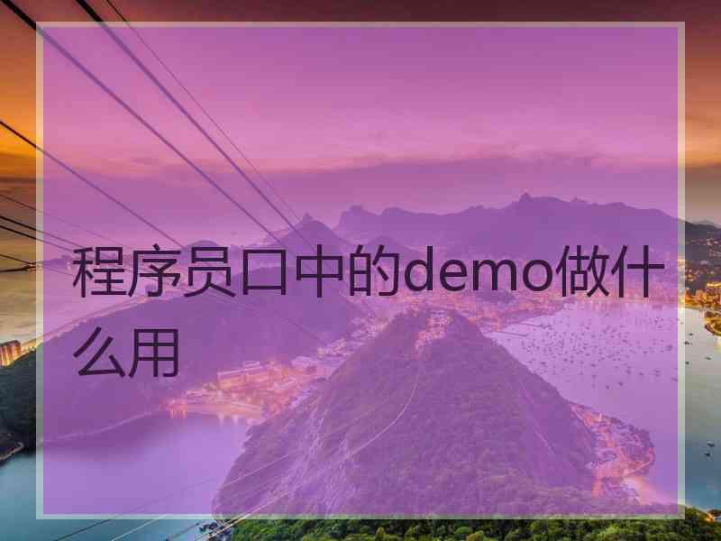 程序员口中的demo做什么用