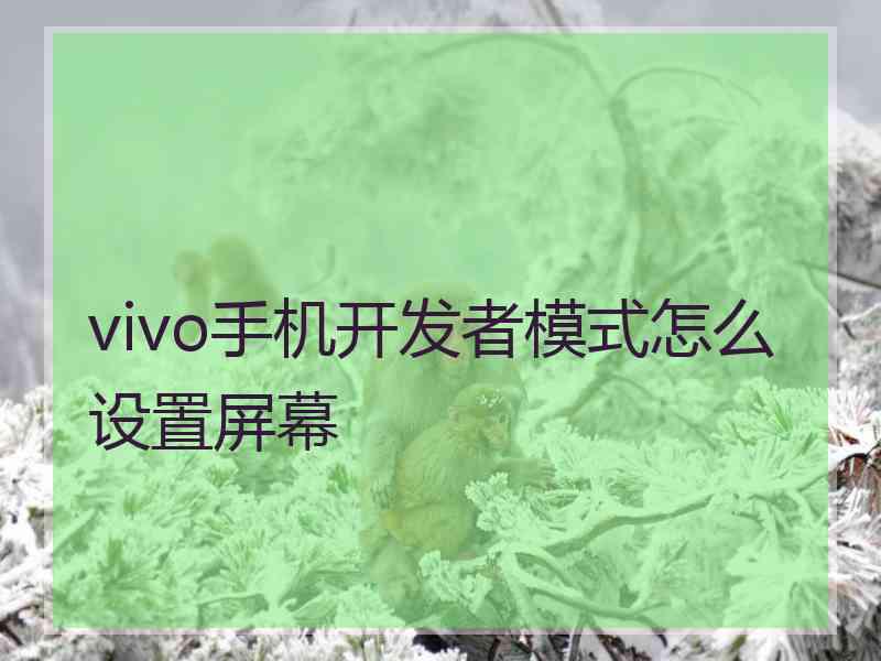 vivo手机开发者模式怎么设置屏幕