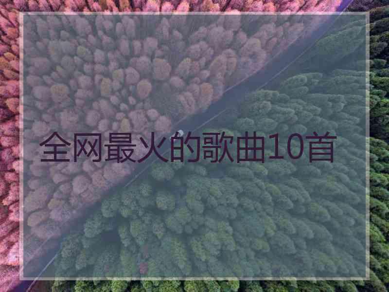 全网最火的歌曲10首