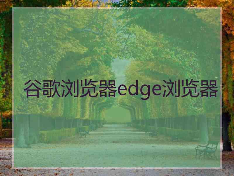 谷歌浏览器edge浏览器