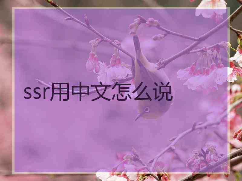 ssr用中文怎么说