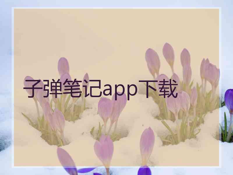 子弹笔记app下载