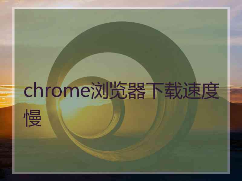 chrome浏览器下载速度慢