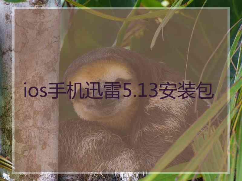 ios手机迅雷5.13安装包