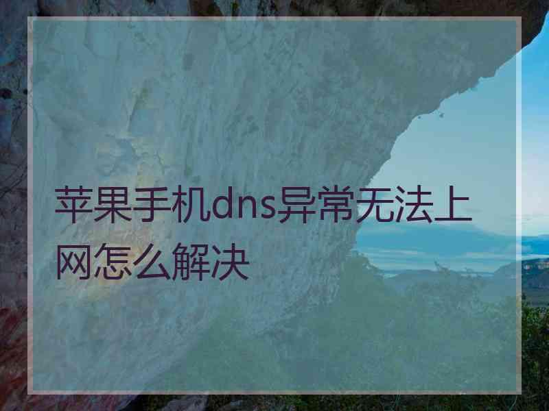 苹果手机dns异常无法上网怎么解决