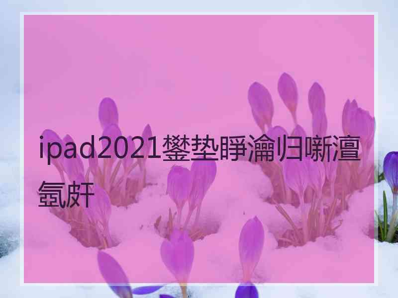 ipad2021鐢垫睜瀹归噺澶氬皯