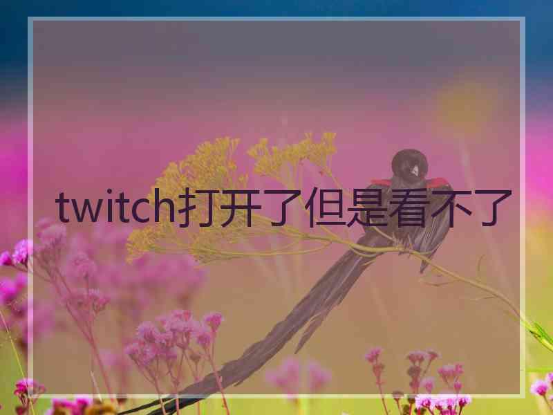 twitch打开了但是看不了