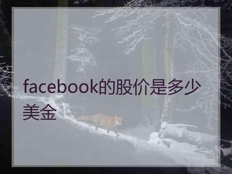 facebook的股价是多少美金