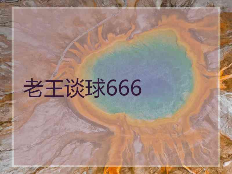 老王谈球666