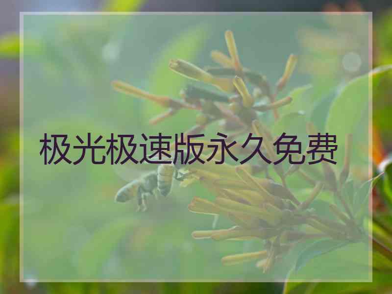 极光极速版永久免费