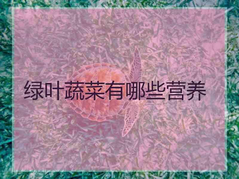 绿叶蔬菜有哪些营养