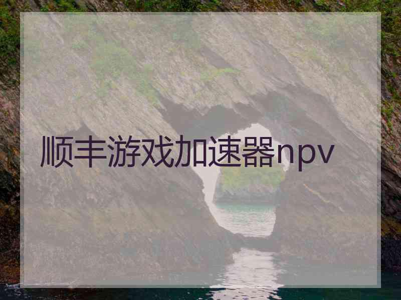 顺丰游戏加速器npv