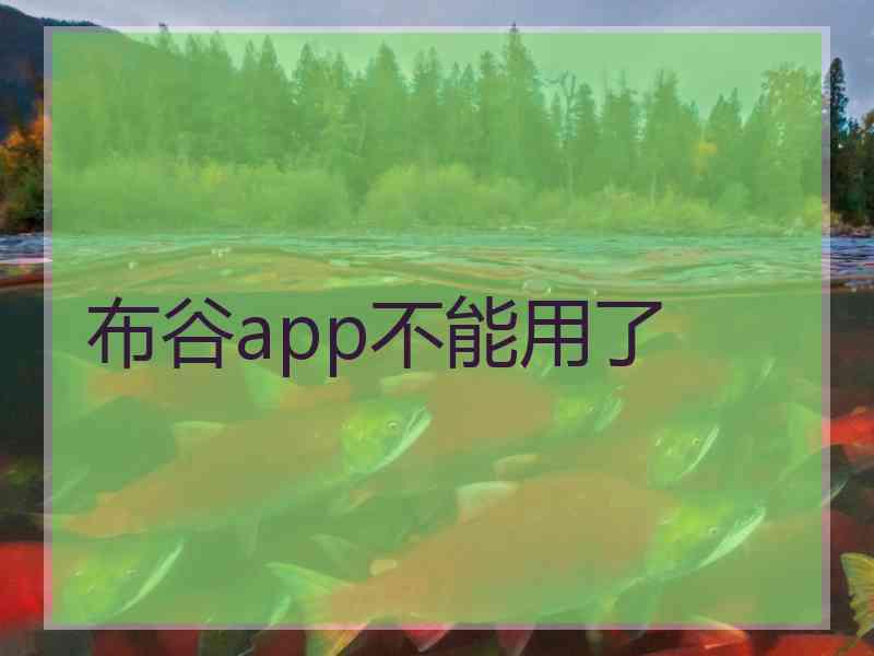 布谷app不能用了