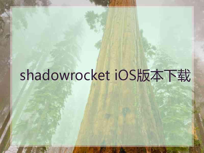 shadowrocket iOS版本下载