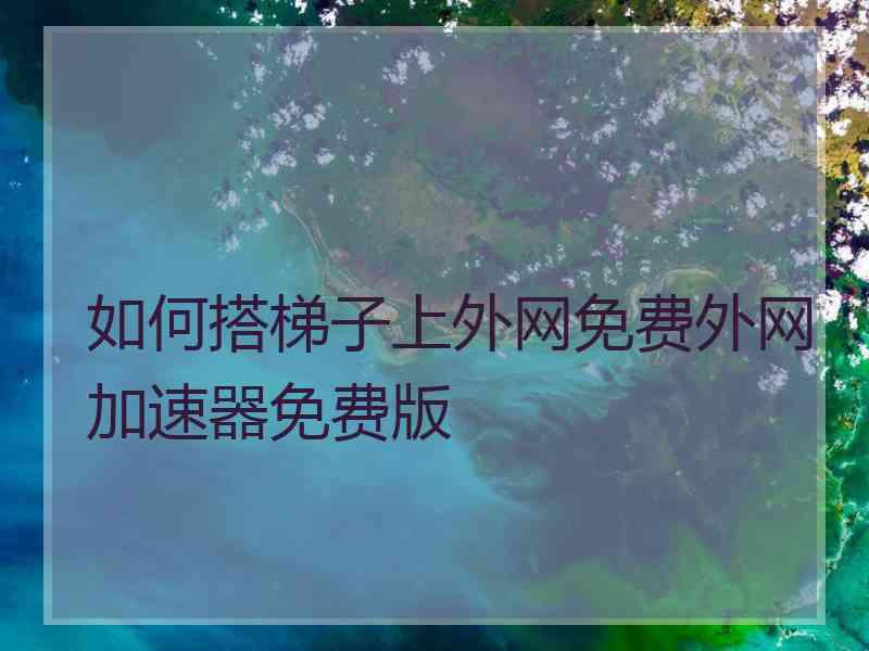 如何搭梯子上外网免费外网加速器免费版