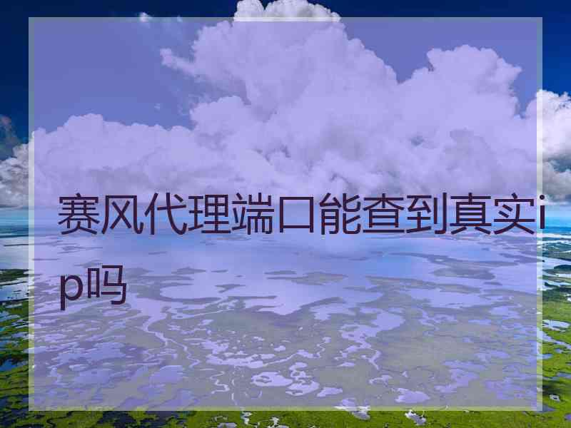 赛风代理端口能查到真实ip吗