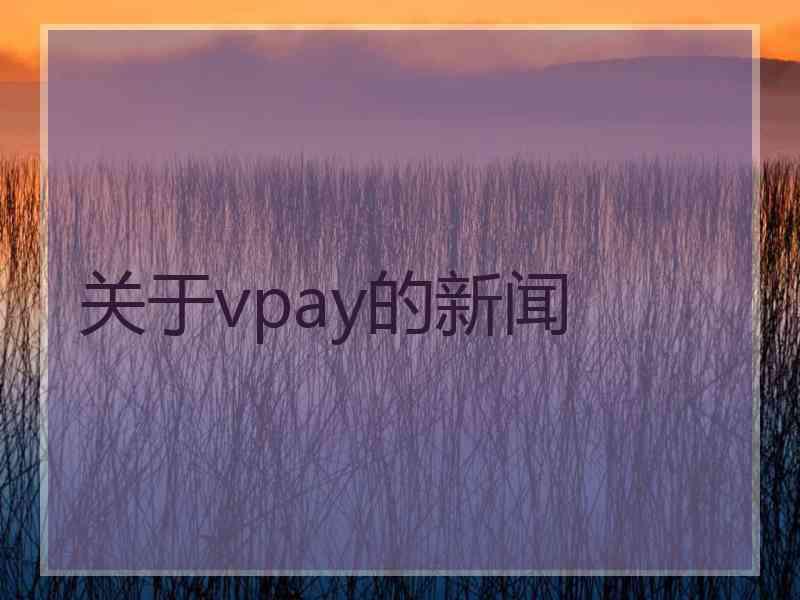 关于vpay的新闻