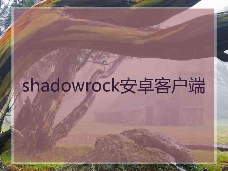 shadowrock安卓客户端