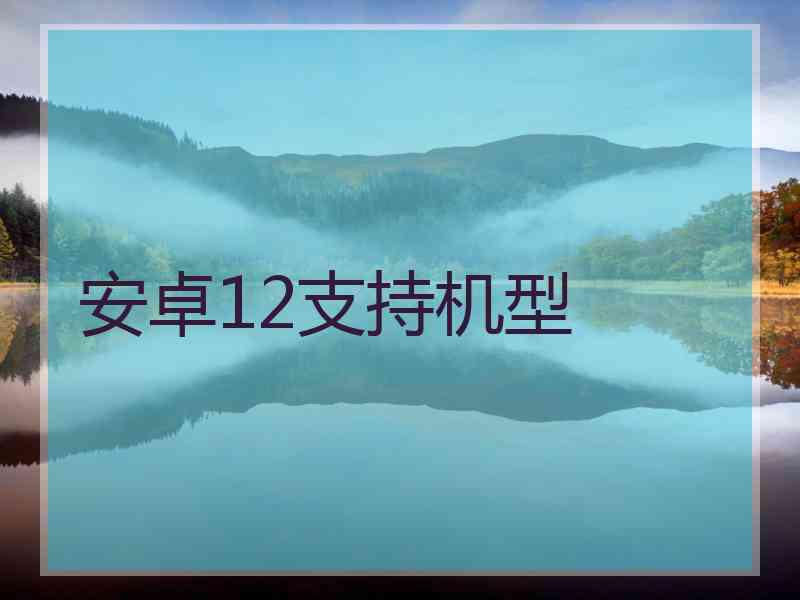 安卓12支持机型