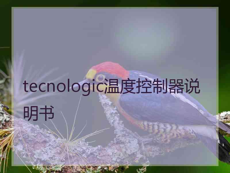 tecnologic温度控制器说明书