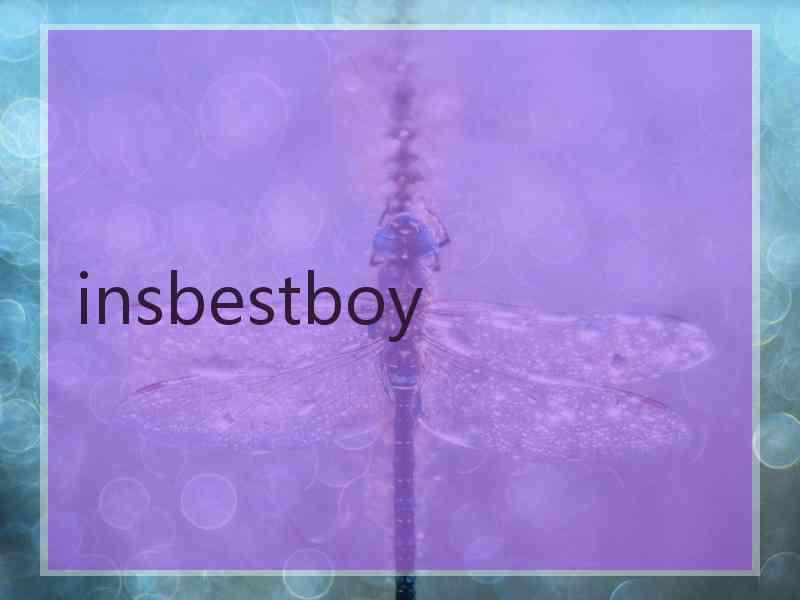 insbestboy