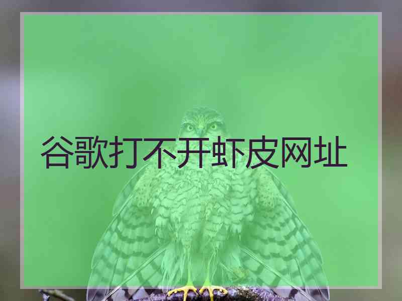 谷歌打不开虾皮网址