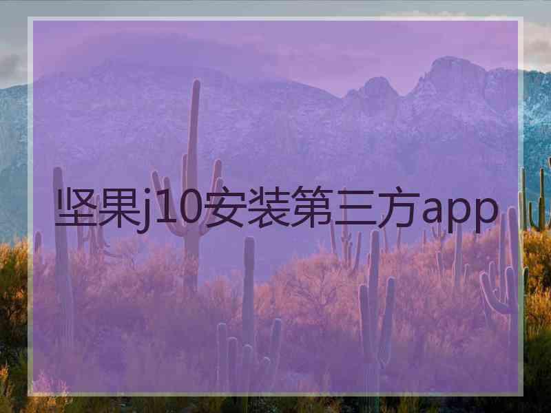 坚果j10安装第三方app