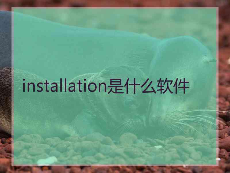 installation是什么软件