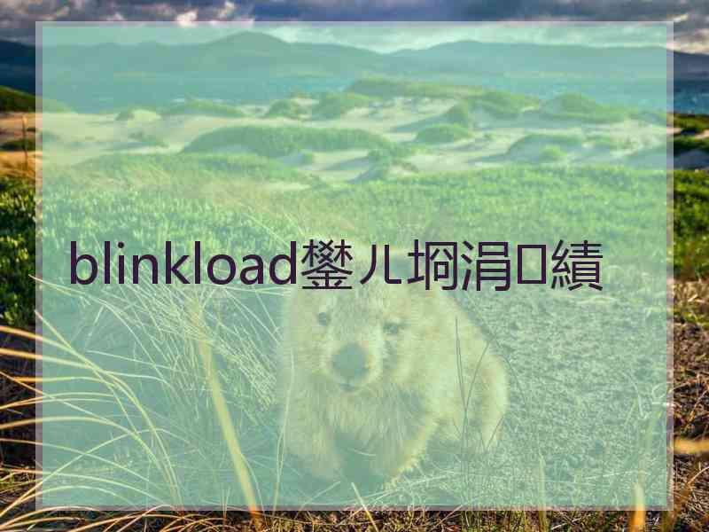 blinkload鐢ㄦ埛涓績