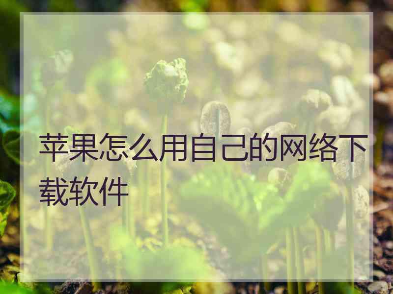 苹果怎么用自己的网络下载软件