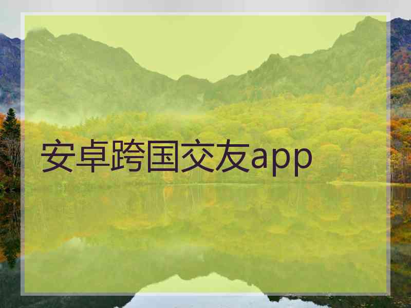 安卓跨国交友app